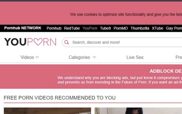 Youporn Asian - Best Asian Porn Sites - RedBled.com