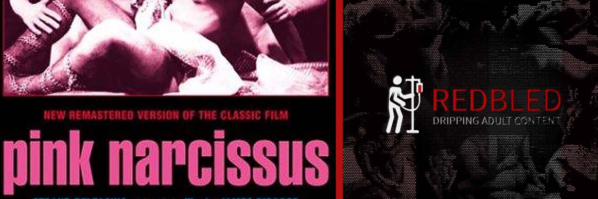 Pink Narcissus (1971) (Gay)