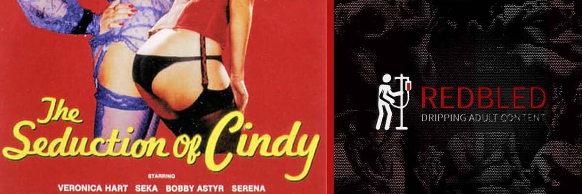 The Seduction of Cindy (1980)