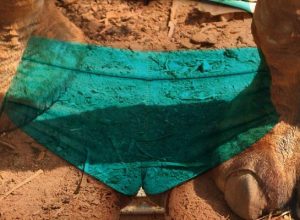 Top 30: The Worst Celebrity Camel Toes Ever (2025)