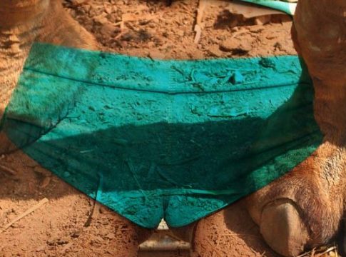 Top 30: The Worst Celebrity Camel Toes Ever (2025)