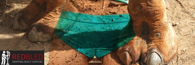 Top 30: The Worst Celebrity Camel Toes Ever (2025)