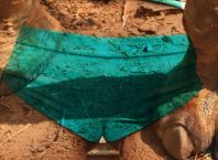 Top 30: The Most Severe Celebrity Cameltoes Ever (2023)