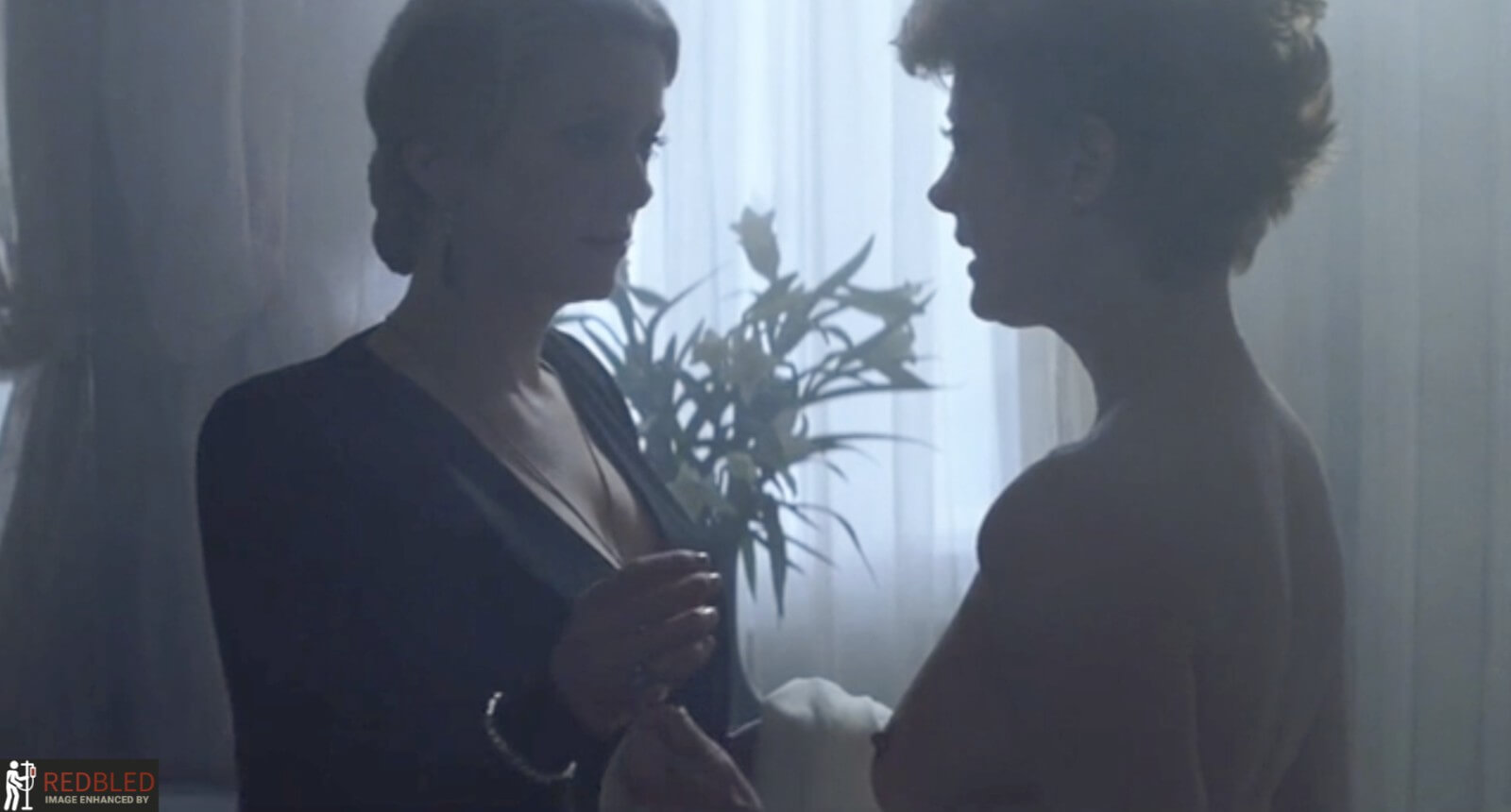 Susan Sarandon Nude
